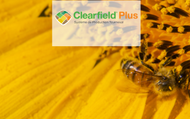 CLEARFIELD® PLUS